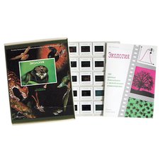 Экология (100 шт)