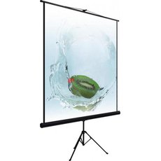 Экран настенный рулонный  на треноге