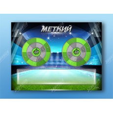 Электрифицированный координационно-развивающий спортивный комплекс "Меткий"