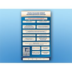 Электрифицированный стенд-тренажер "Этапы оказания первой помощи"