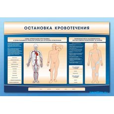 Электрифицированный стенд-тренажер "Остановка кровотечения"