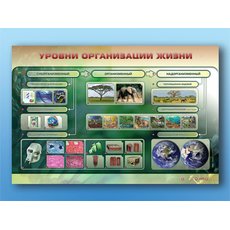 Электрифицированный стенд "Уровни организации жизни"