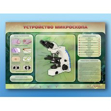 Электрифицированный стенд "Устройство микроскопа и правила работы c ним"