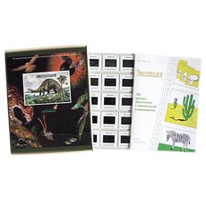 Эволюция (120 шт)