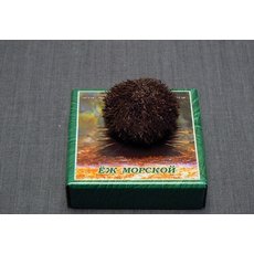 Еж морской