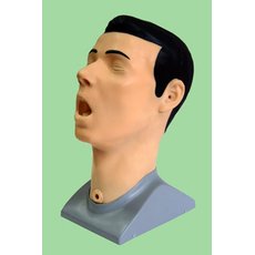 Фантом  головы