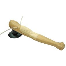 Фантом  руки  (для  отработки  навыков  внутривенных  инъекций)