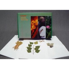 Гербарий для курса географии