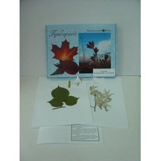 Гербарий "Медоносные растения" (24 вида) формат А-3