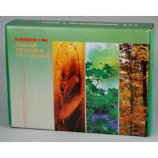 Гербарий "Основные группы растений" (52 листа) формат А-4