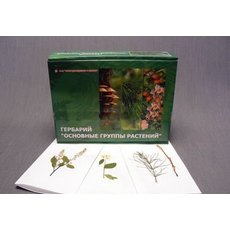 Гербарий "Основные группы растений" (52 листа)