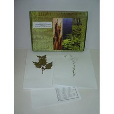 Гербарий "Сорные растения" (24 вида) формат А-3