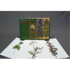 Гербарий "Ядовитые растения" (20 видов) формат А-3