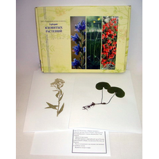 Гербарий "Ядовитые растения" (20 видов) формат А-3