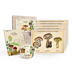 «Грибы». Комбинированное наглядное пособие