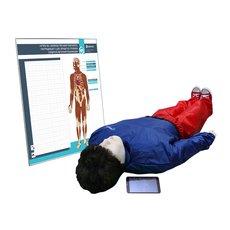 "Игорь-02" манекен-тренажер взрослого пострадавшего для отработки приемов сердечно-легочной реанимации (голова, туловище, конечности) с беспроводным планшетным компьютером и настенным анатомическим табло