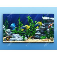 Интерактивный аттракционный комплекс "Водный мир"