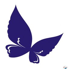 Коллекция энтомологическая "Бабочки для рисования"