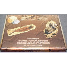 Коллекция "Формы сохранности ископаемых растений и животных"