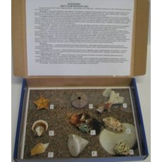 Коллекция "Обитатели морского дна"