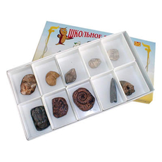 Коллекция "Палеонтологическая" (23 шт.) (гипс)