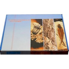 Коллекция "Палеонтологическая" (форма сохранности ископаемых растений и животных)