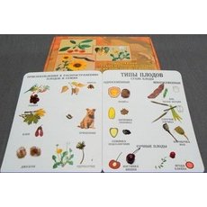 Коллекция "Семена и плоды с раздаточным материалом"