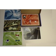 Коллекция "Шелк для начальной школы"