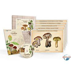 Комбинированное наглядное пособие «Грибы»