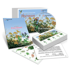 Комбинированное наглядное пособие «Растения»