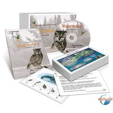 Комбинированное наглядное пособие «Животные»