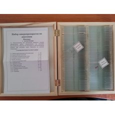 Комплект микропрепаратов "Анатомия"
