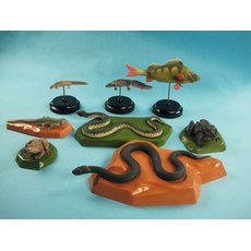 Комплект моделей "Позвоночные животные" (8 шт.)