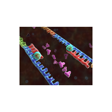 Комплект мультимедийного курса для школы "Eureka" 3D (Три предмета  Физика, Химия, Биология)