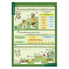 Комплект таблиц "Биология 10-11 класс Эволюционное учение" (10 шт.)