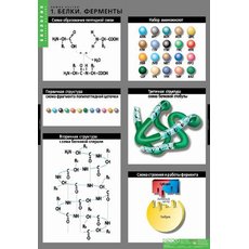 Комплект таблиц "Химия клетки" (3 шт.)