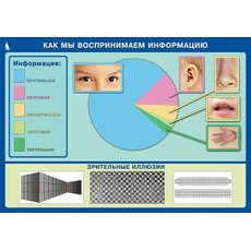 Комплект таблиц. Информатика и ИКТ. 5-7 класс.