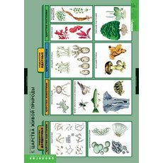 Комплект таблиц "Общее знакомство с цветковыми растениями" (6 шт.)