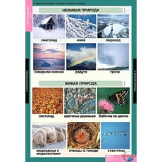 Комплект таблиц "Окружающий мир" 2кл. (14 таблиц)