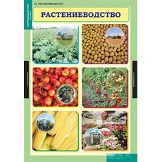 Комплект таблиц "Окружающий мир" 3 кл. (14 таблиц)