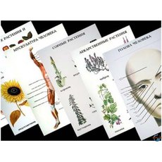 Комплект таблиц "Природоведение. Наглядные пособия для нач. школы (46 шт.) картон