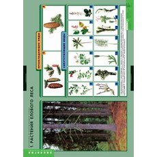 Комплект таблиц "Растения и окружающая среда" (7 шт.)
