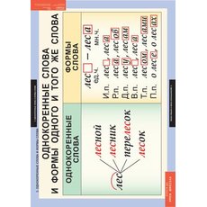 Комплект таблиц "Русский язык 2 класс" (4 таблиц)