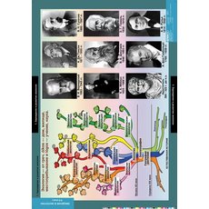 Комплект таблиц "Введение в экологию" (18 шт.)