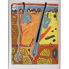 Кожа. Разрез