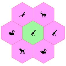 Лечебно-диагностический комплекс АКАДЕМИК - программа ЦВЕТОК