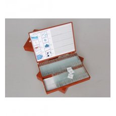 Микропрепараты по Ботанике