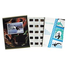 Млекопитающие (100 шт)