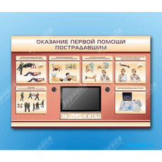 Многофункциональный интерактивный стенд-тренажер "Оказание первой помощи пострадавшим" для учащихся общеобразовательных учреждений
