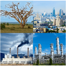 Модель-аппликация Биосфера и человек